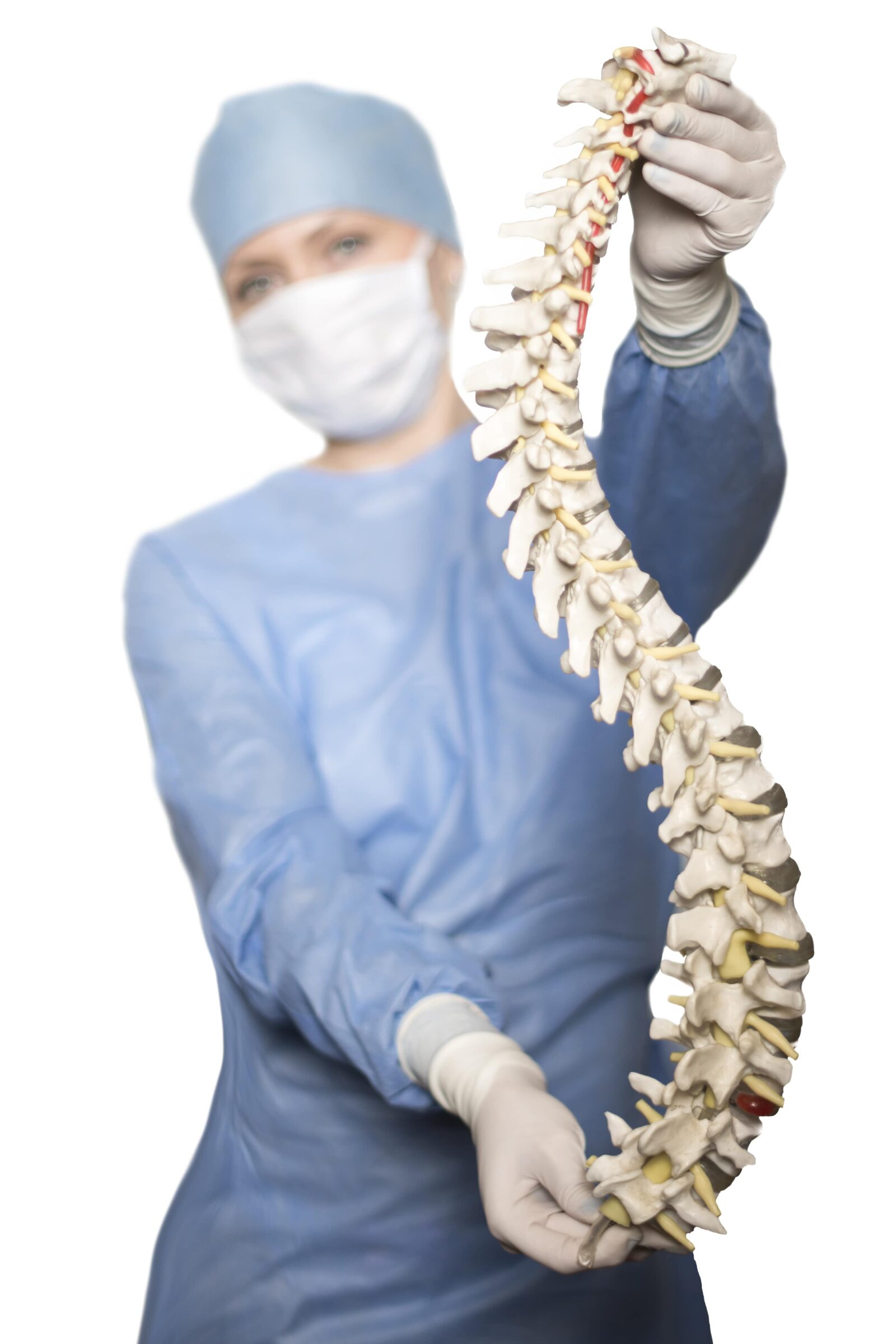 spine surgeon holding model spine
