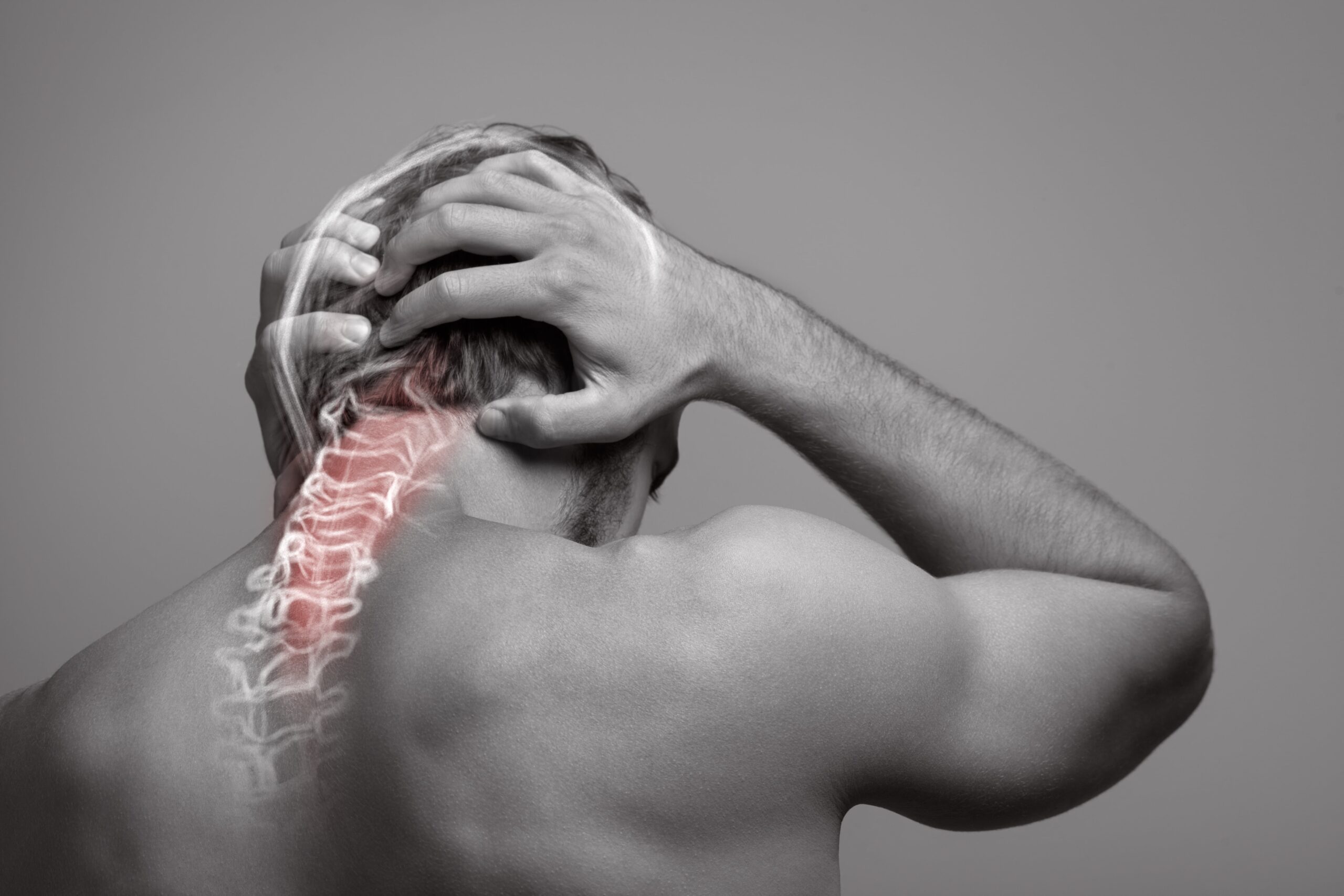 Neck and head pain, skull and spine bones