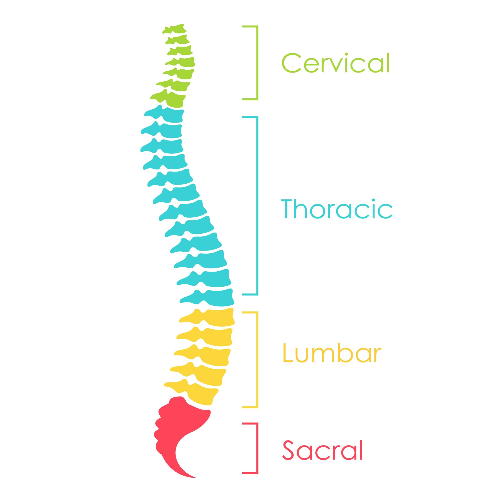 Exploring The Various Types Of Spinal Stenosis: Understanding Symptoms ...