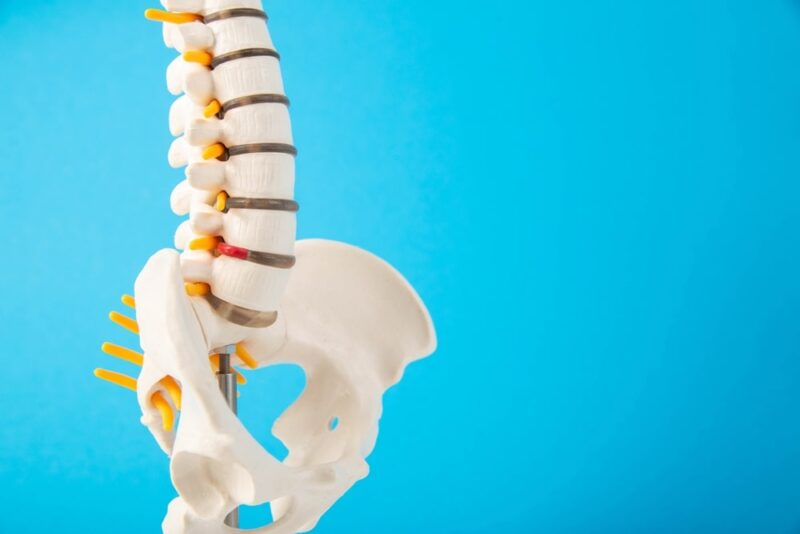Mockup of the spine on a blue background. The concept of diseases and treatment of the spine in medicine