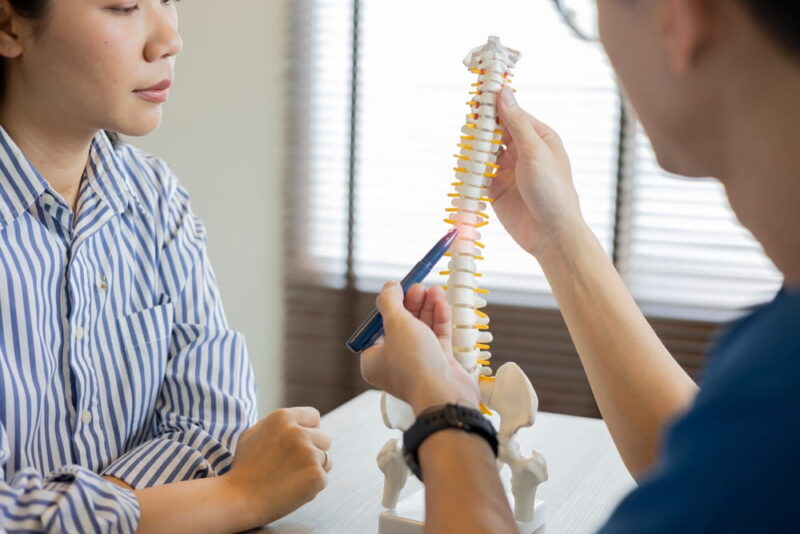 close up special chiropractor man check about symptom of patient or medical article with spine anatomy