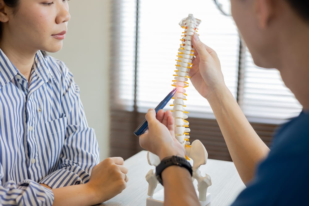close up special chiropractor man check about symptom of patient or medical article with spine anatomy