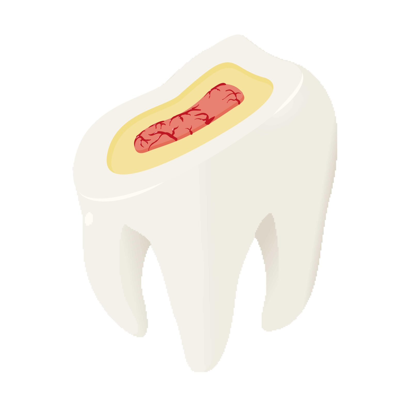 three layers of teeth