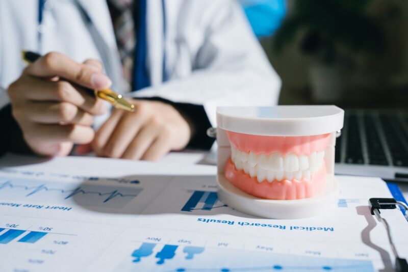 Dental model teeth medical research