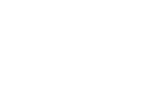 ESN logo white