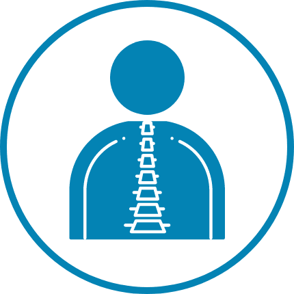 chiropractic spine icon