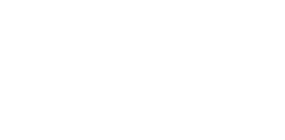 White Logo