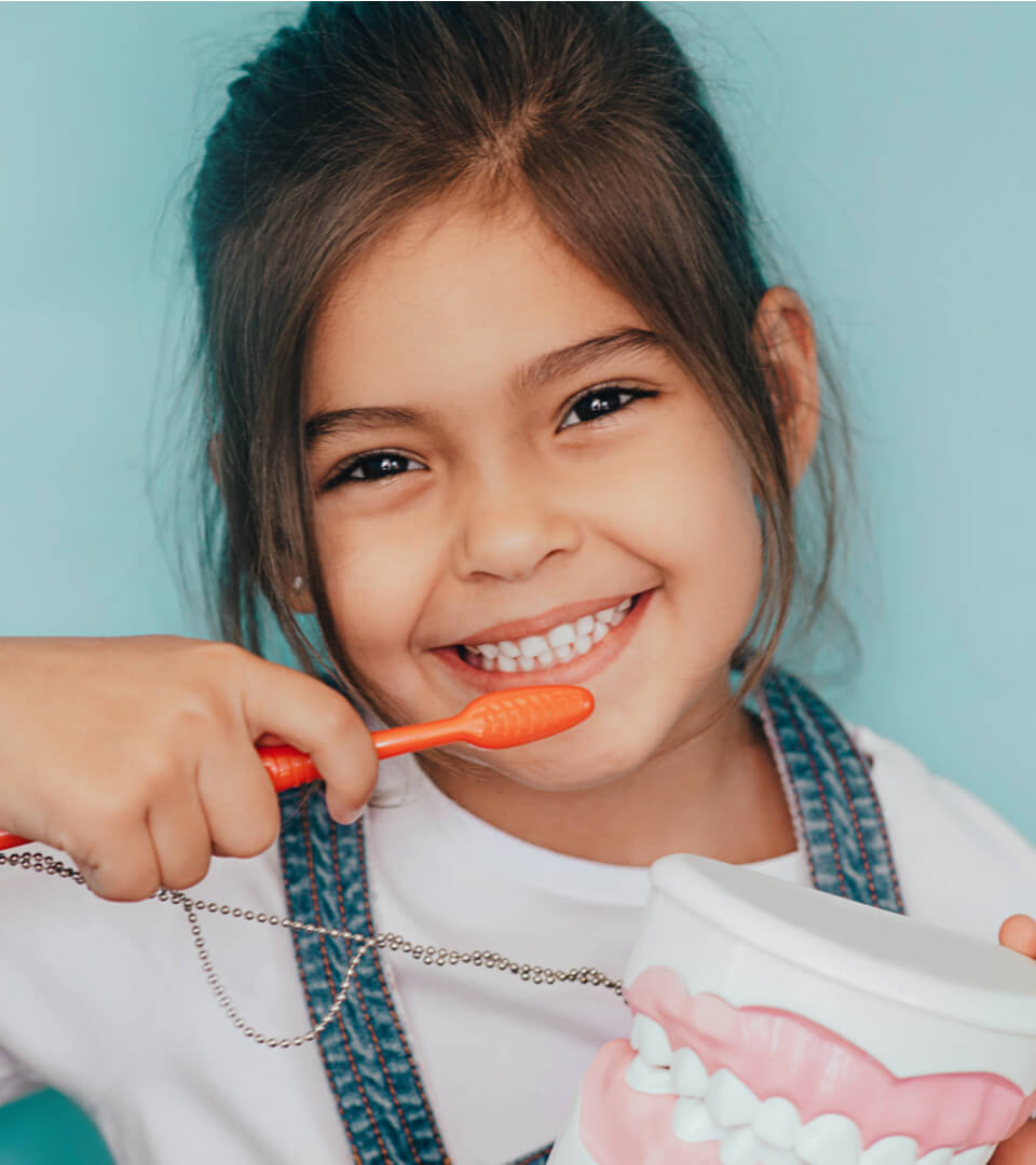 cute child posing with toothbrush and dentures model