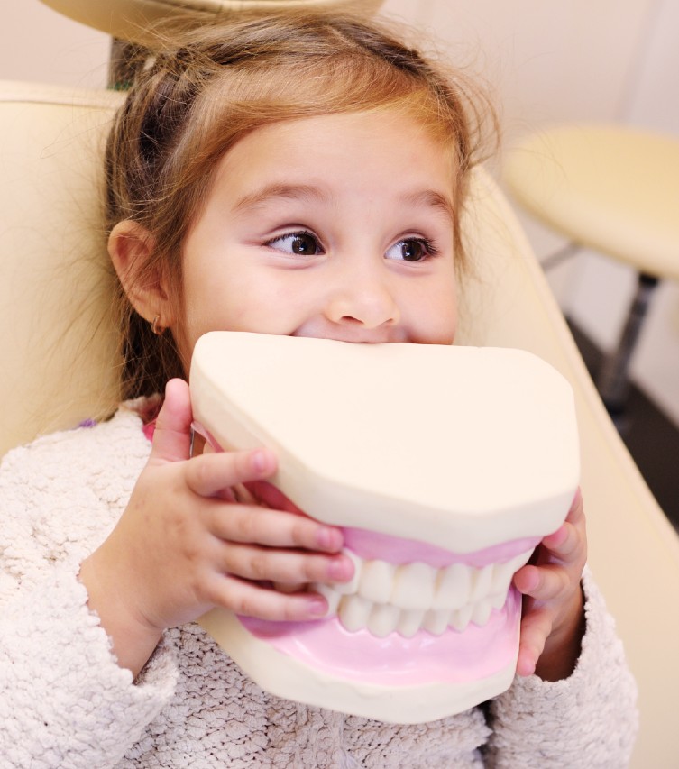 Young kid playing with big dental tooth model