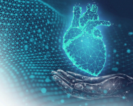 Virtual image of human heart