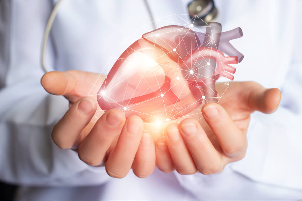 Cardiologist supports the heart of man hands