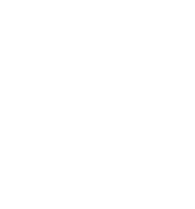 vector architecture