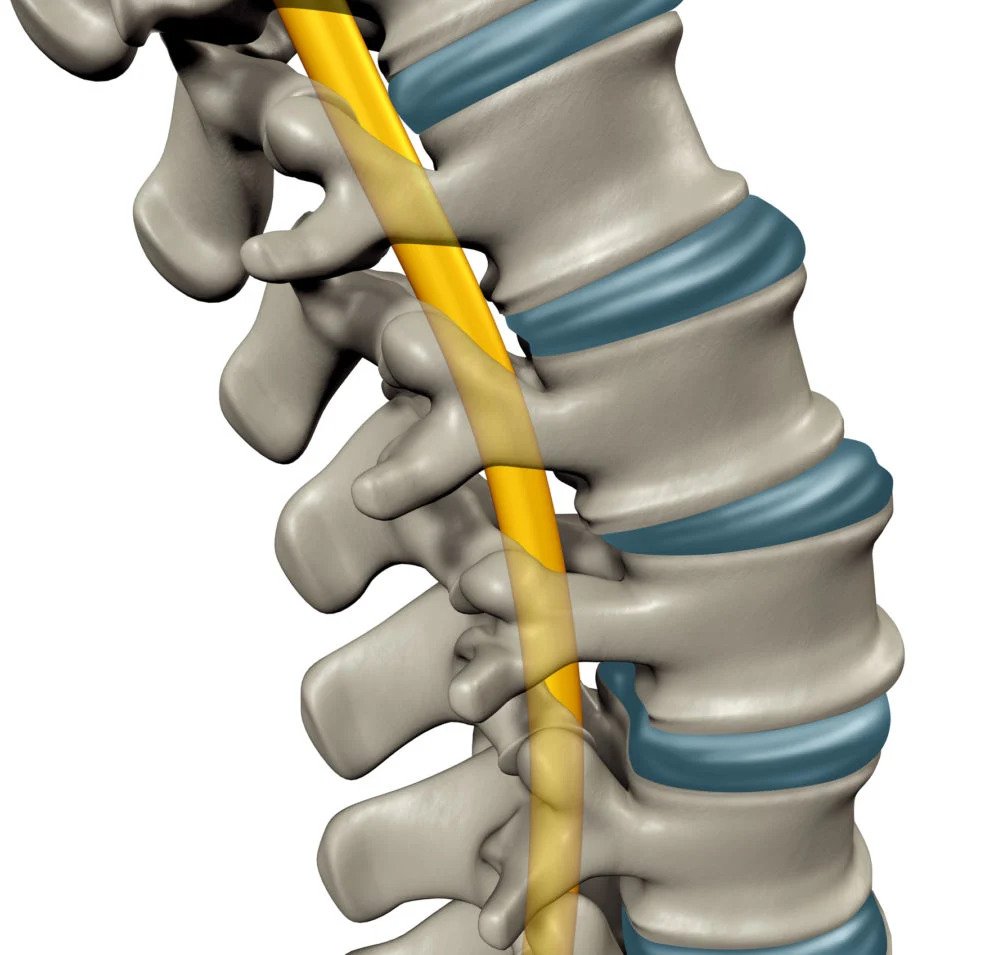 ezgif.com gif maker 5 1 showing the concept of Spine Fusion Alternative?