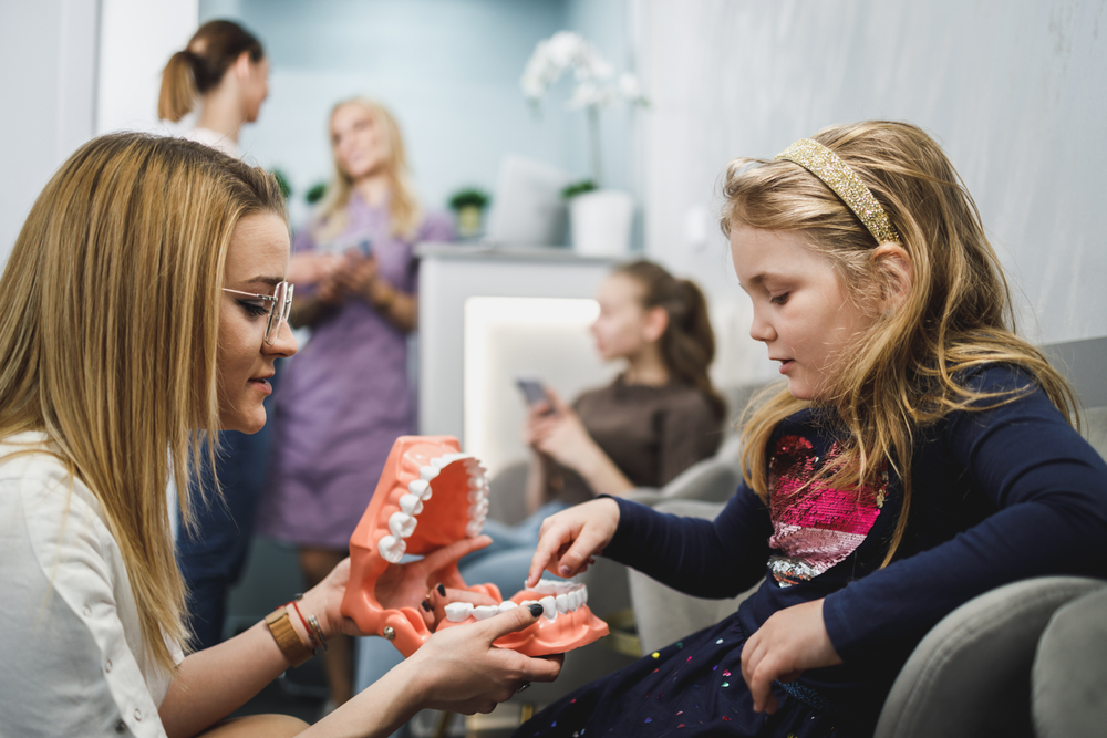 Female,Dentist,And,Little,Girl,Holding,Model,Of,Teeth,And