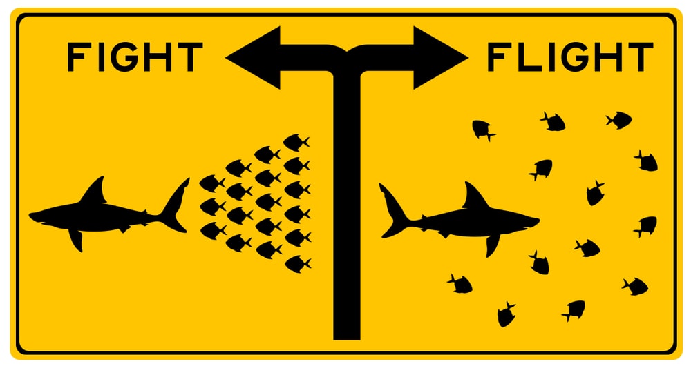 fight vs. flight response