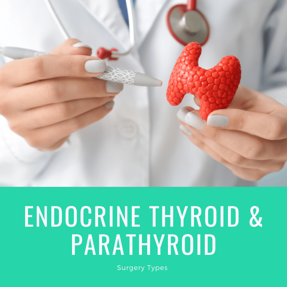 Endocrine Thyroid And Parathyroid Surgery Types | Annapolis And Severna ...