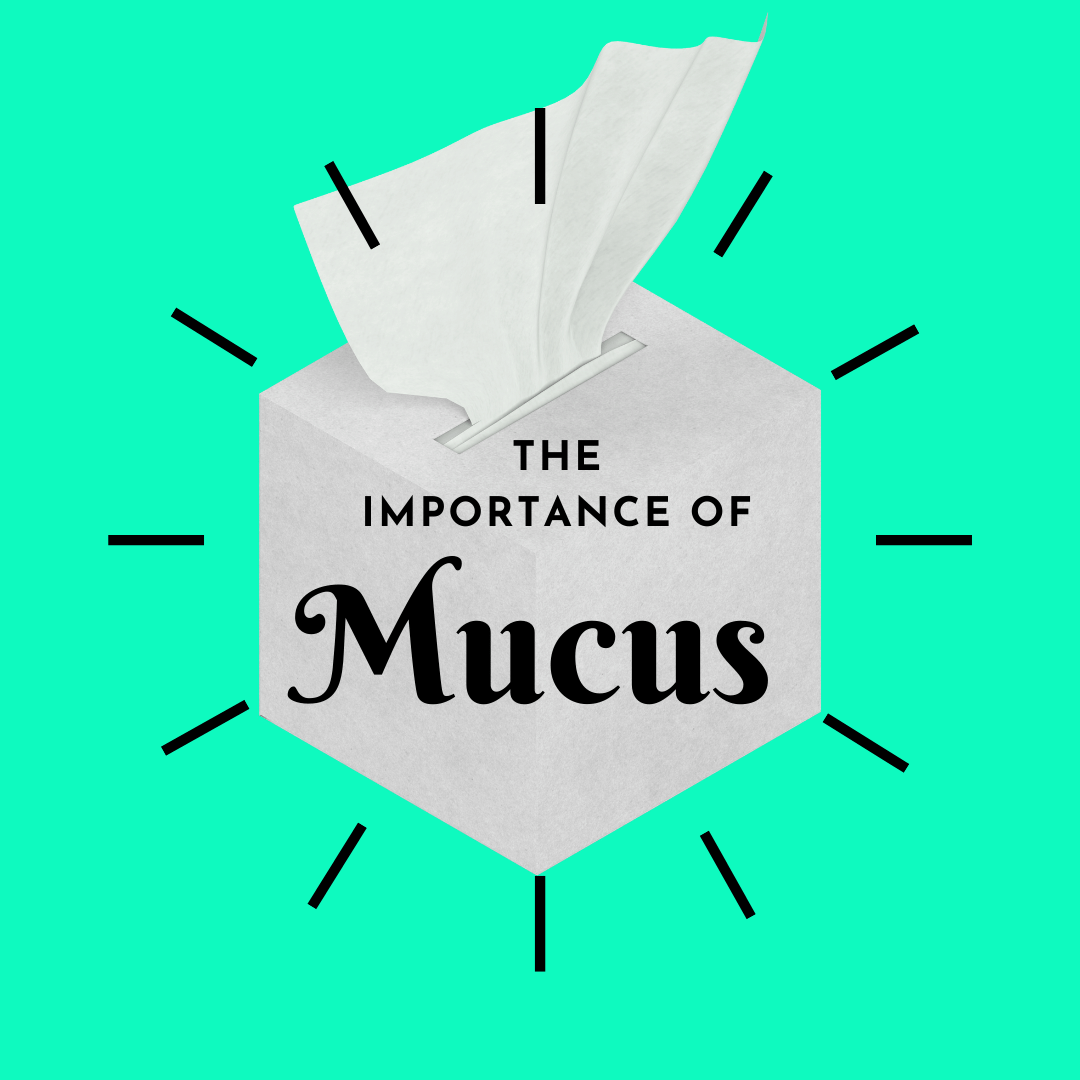 the importance of mucus