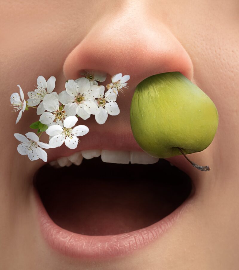 close up of a nose with flowers coming out of one nostril and an apple coming out of the other. concept for nasal allergies