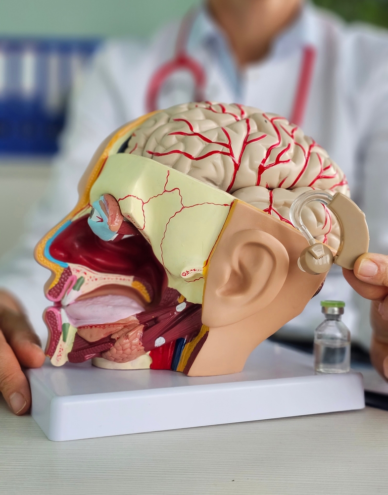 Hearing aids to support brain function. Assessing hearing loss in brain function. Relationships between hearing loss and senile dementia