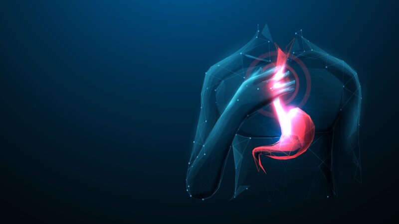 Acid Reflux, Heartburn, GERD. Humans suffer from heartburn