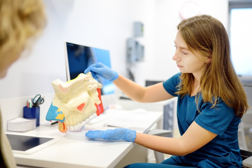 The otolaryngologist consults to patient at the appointment. Professional ENT doctor demonstrates a model of the human nose