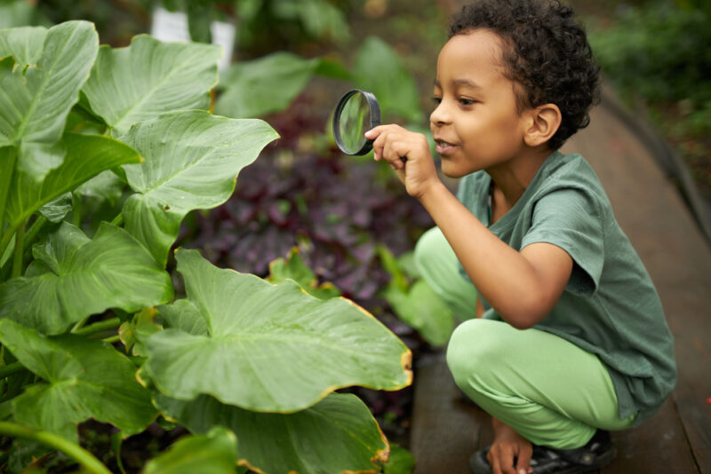 The Difference Between Autism and ADHD Why Both Require Specific Evaluations