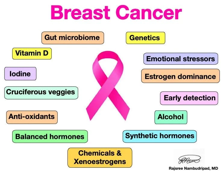 Breast Cancer Prevention – OC Integrative Medicine