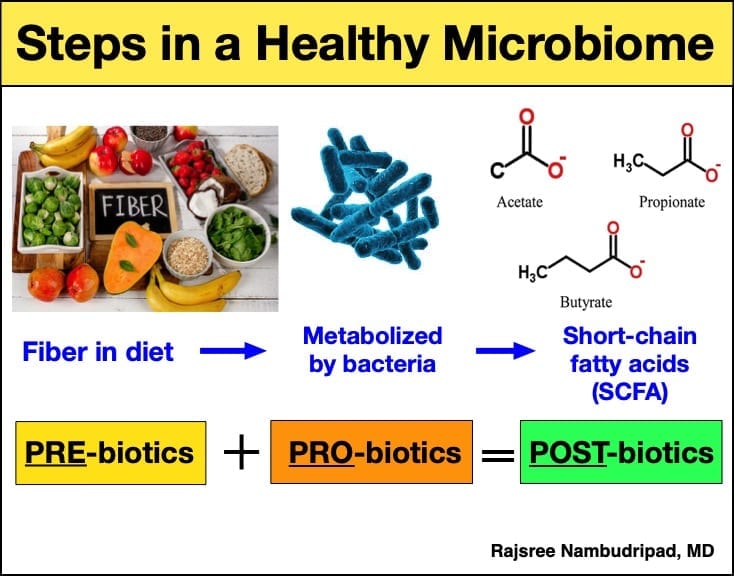 PRE biotics PRO biotics POST biotics OC Integrative Medicine PRE biotics PRO biotics POST biotics OC Integrative Medicine