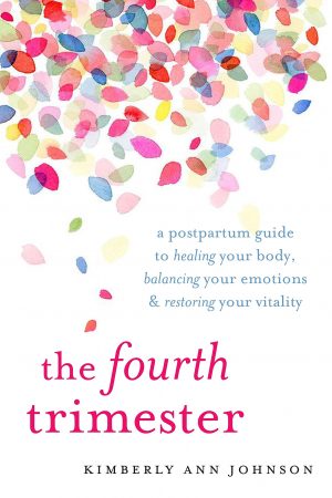 The Fourth Trimester - Book