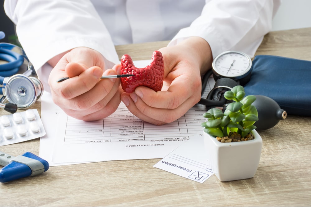 physician shows to patient shape of thyroid gland