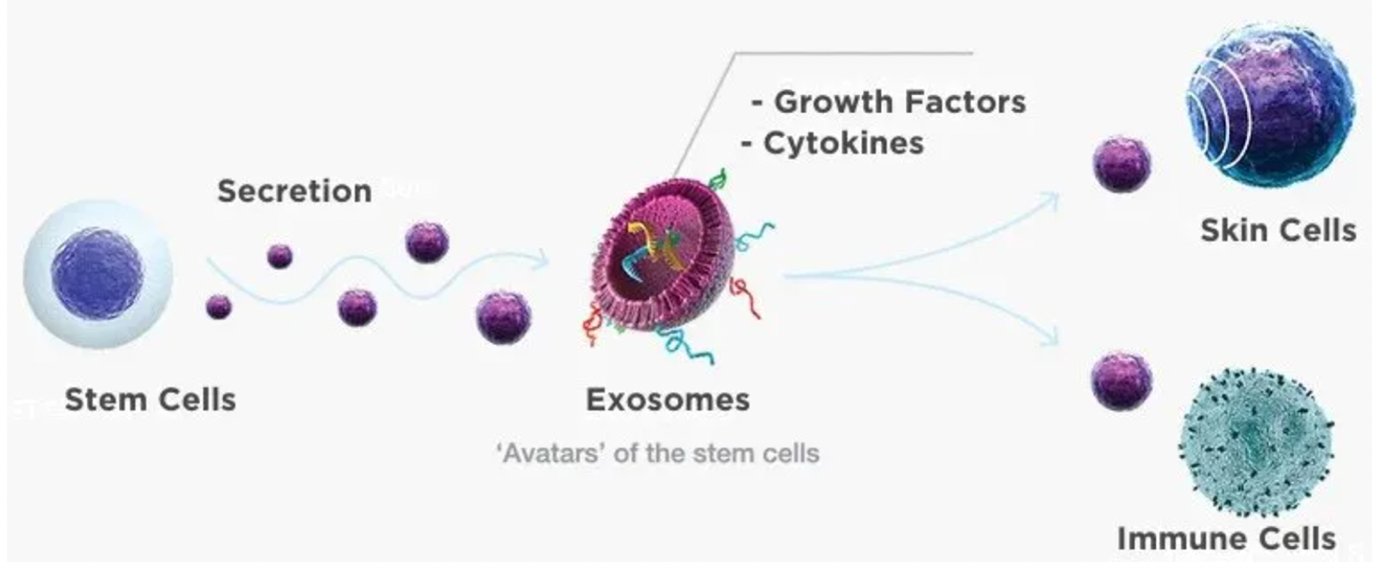 Exosome Skin Boosters 1 showing the concept of Exosome Skin Boosters