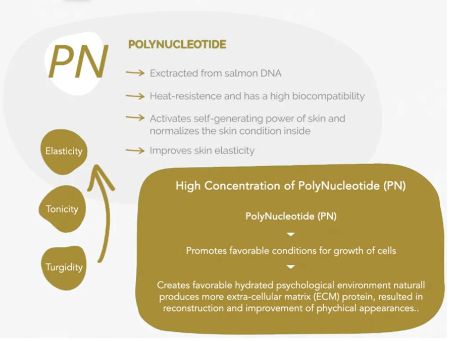 Pdrn Polynucleotides 1 showing the concept of Pdrn Polynucleotides Skin Redensyfiers