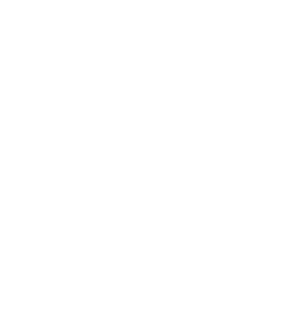 AAp logo white