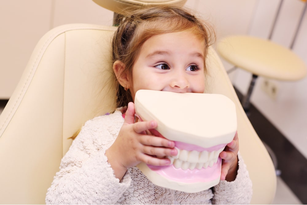 baby girl smiling sitting in dental chair with artificial jaw in hands