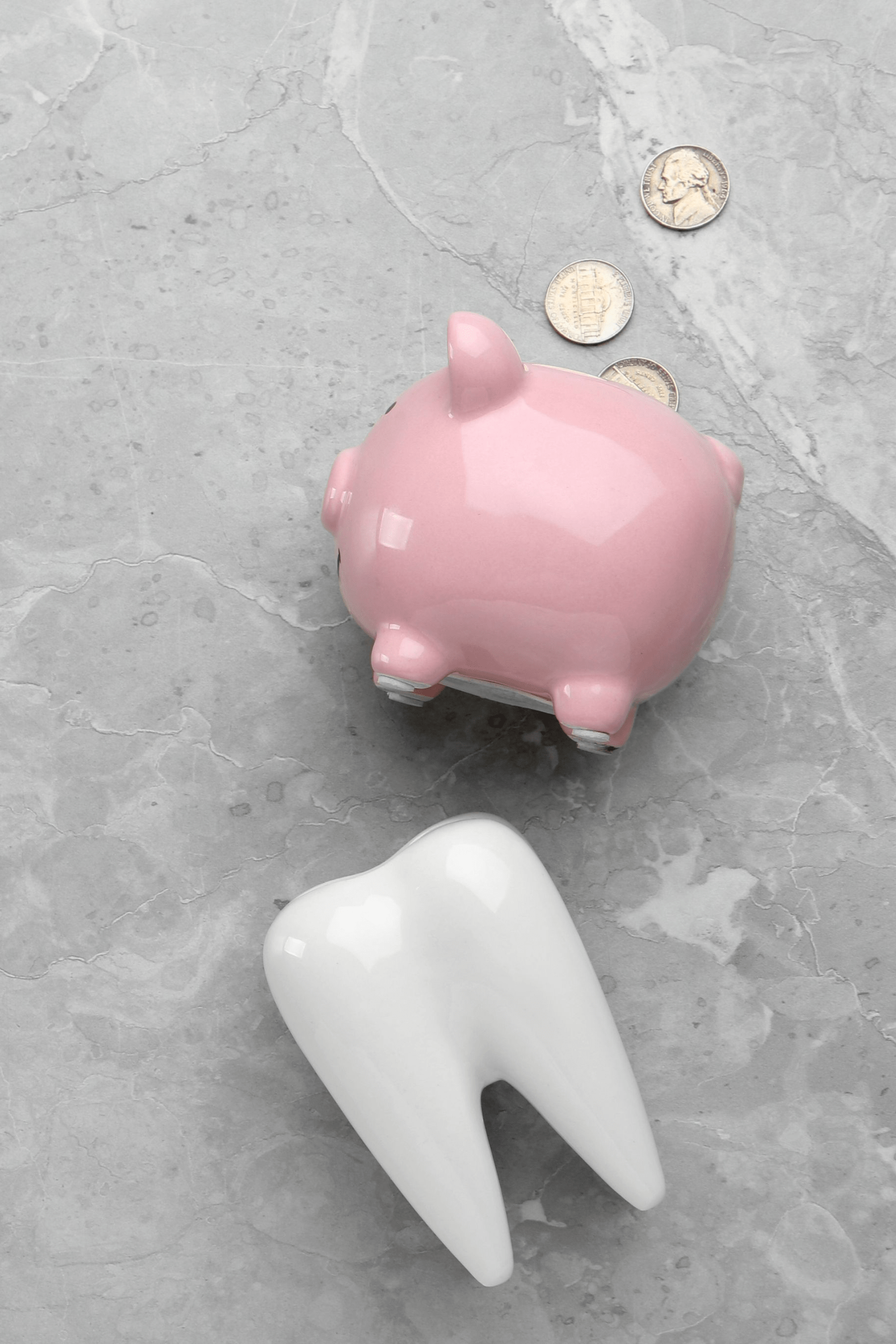 Ceramic model of tooth