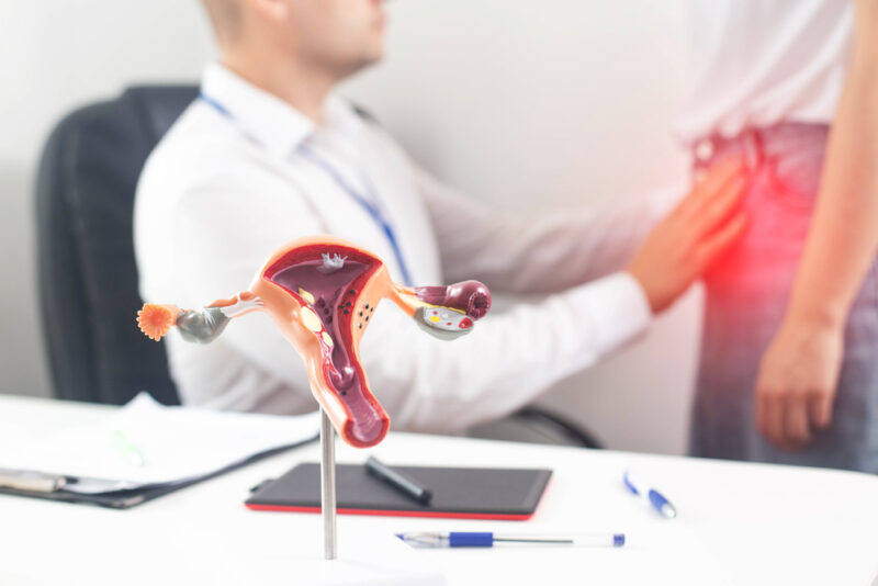 Gynecologist doctor conducts a medical examination of a girl who has pain in the lower abdomen