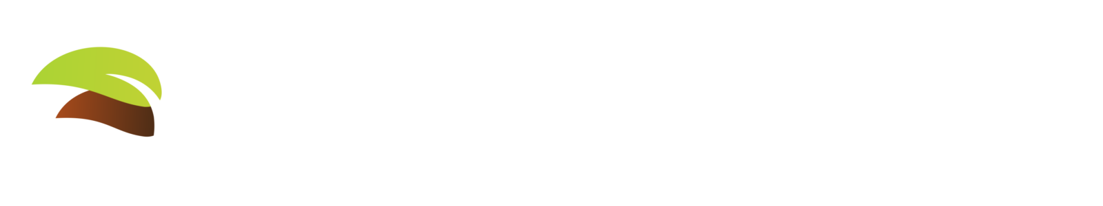 White Logo - Transitions Counseling and Consulting