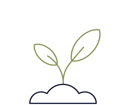 growing plant icon
