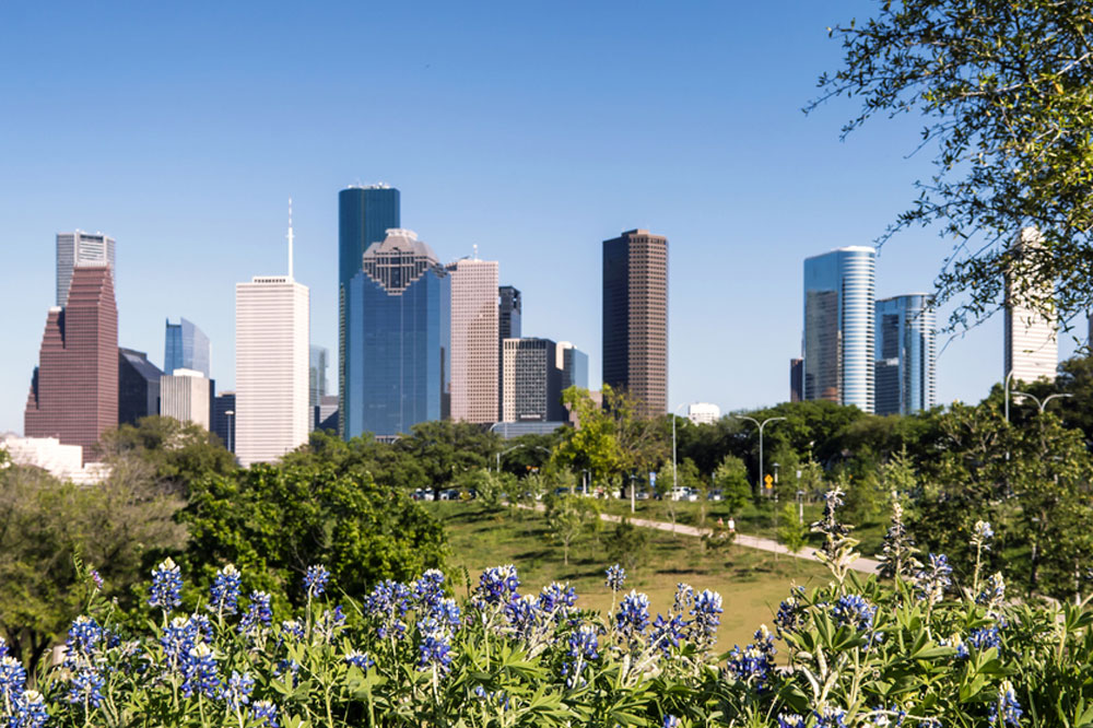 spring showing the concept of Find Intensive Outpatient Program (IOP) Clinics Across Texas