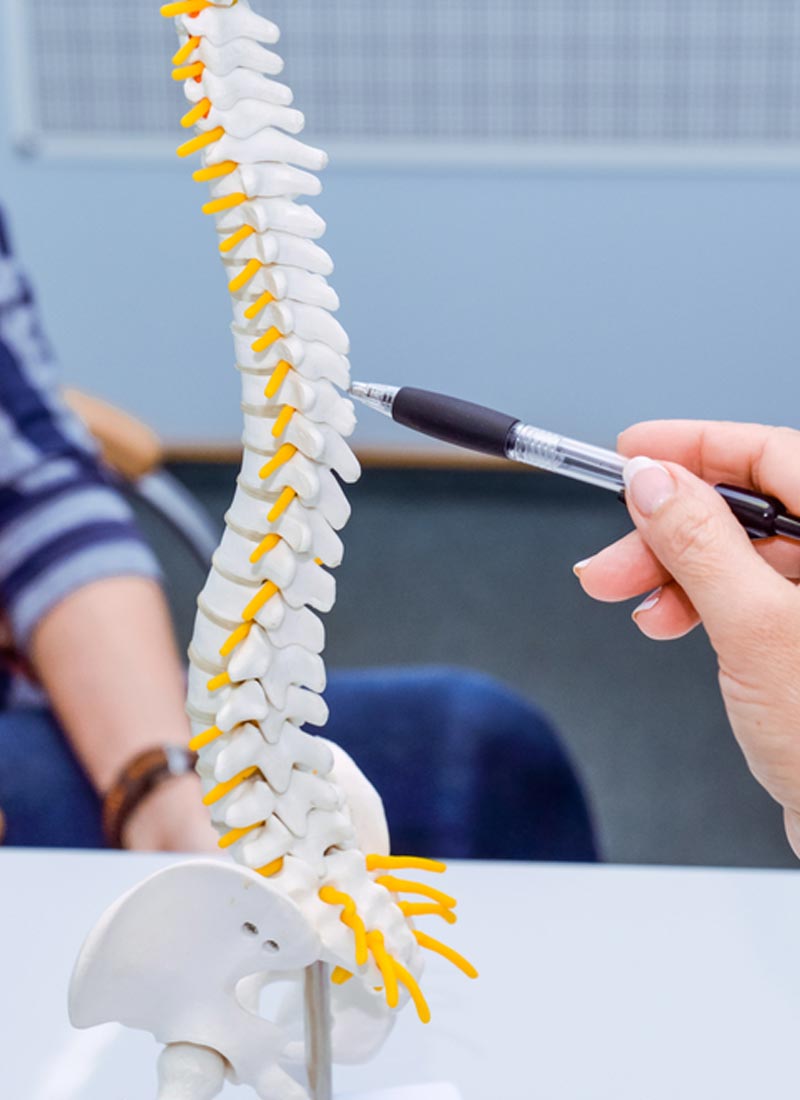 medical doctor pointing on spine model