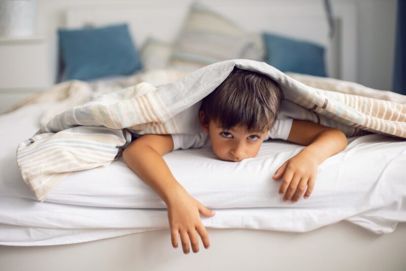 Sleep Problems in Children with Autism