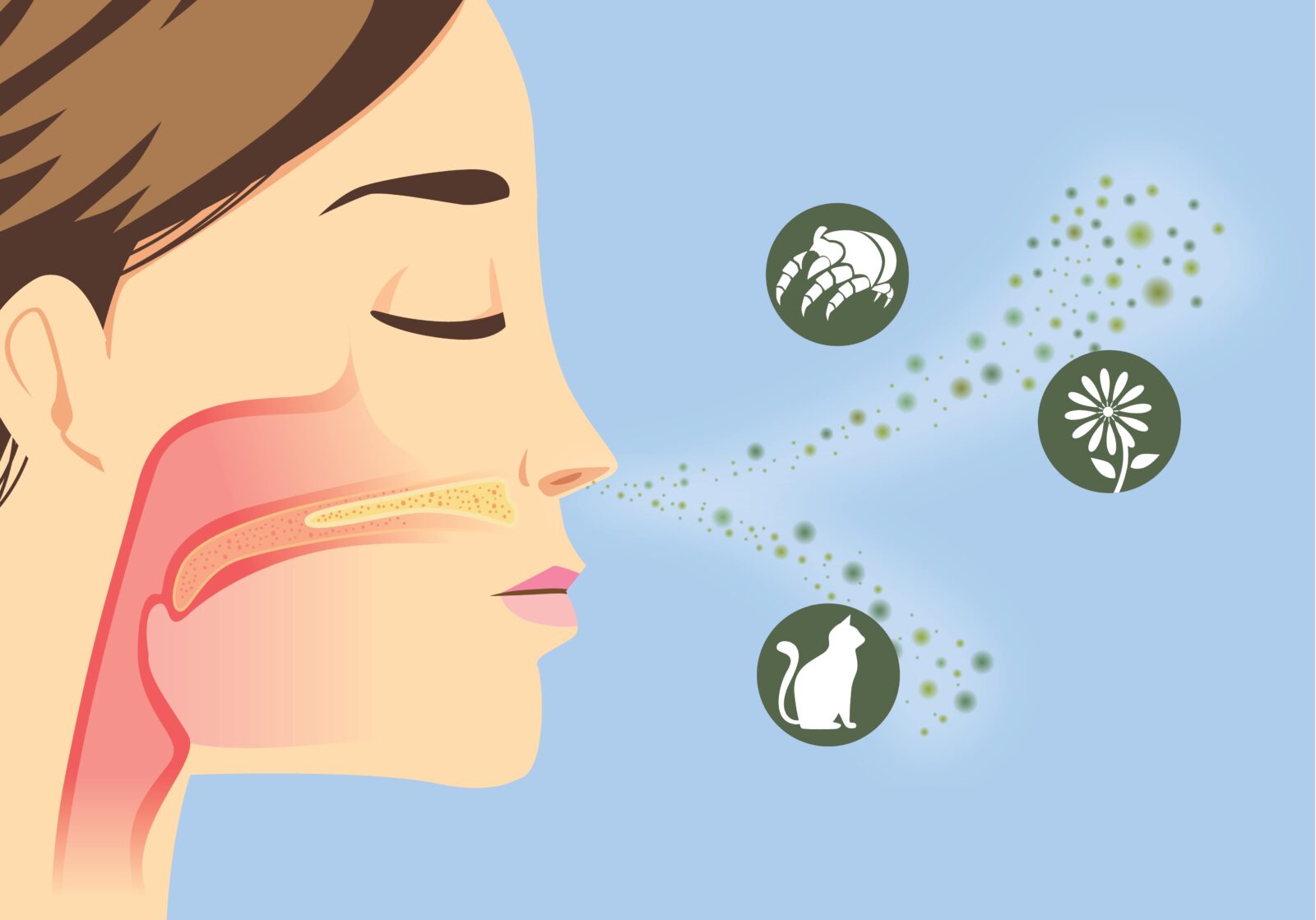 computerized image of woman's side profile inhaling different allergens: pet dander, dust mites, pollen