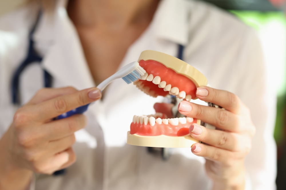 A dental professional showing an example of good Brushing technique