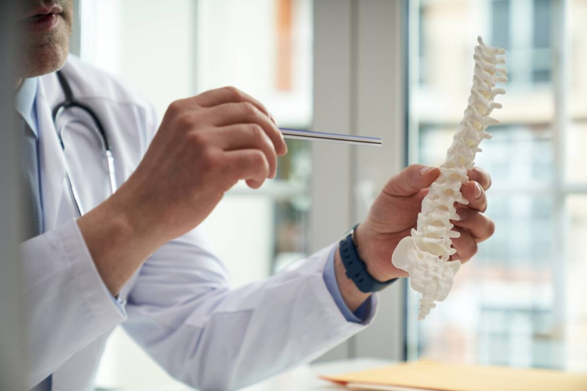 Healthcare worker holding a model of a human spine
