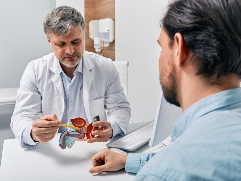 Doctor urologist consulting patient with prostatitis, explaining to him methods of treatment using anatomical model
