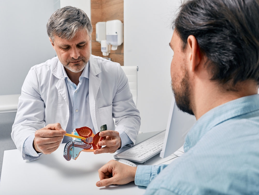 Doctor urologist consulting patient with prostatitis, explaining to him methods of treatment using anatomical model