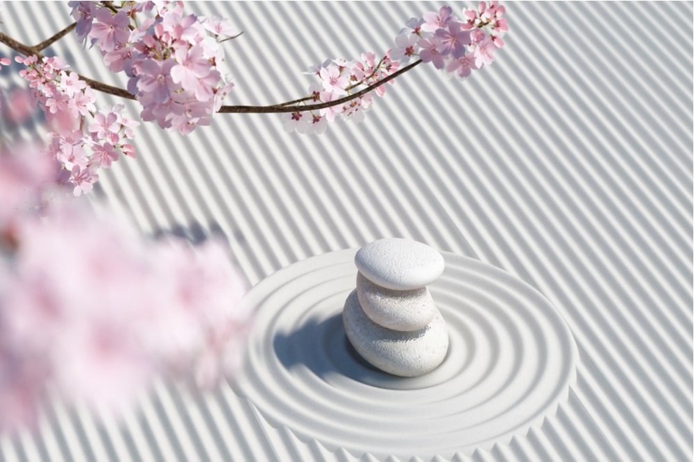 Cherry blossoms and stone balance on zen garden pure white background