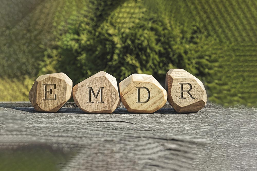Letters EMDR written on wooden irregular blocks