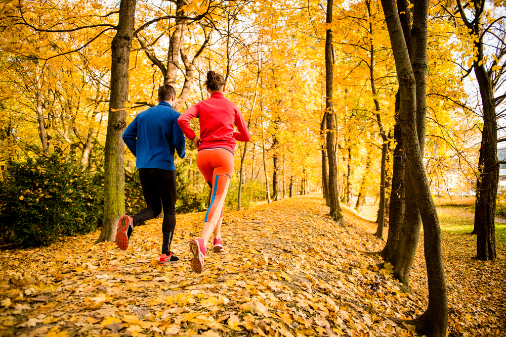 Fall Into Good Health: Tips For A Vibrant Autumn