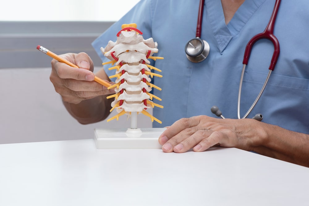 Doctor using pencil to demonstrate anatomy of artificial human cervical spine model in medical office